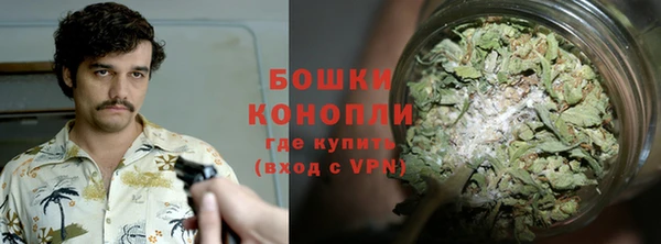 spice Бородино