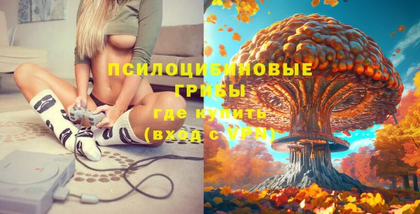 spice Бородино