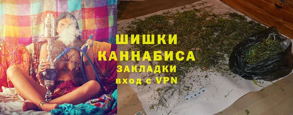 spice Бородино